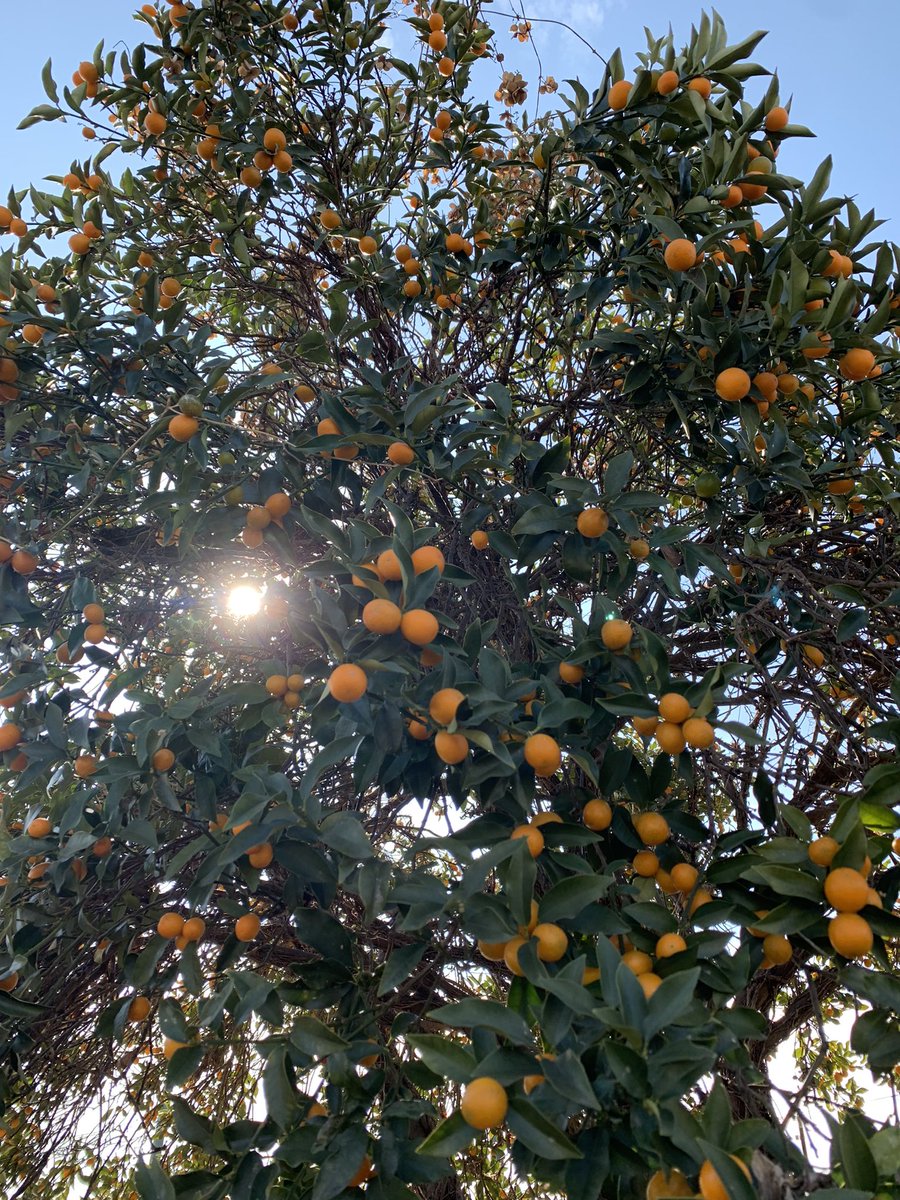 Gacci@Amiliyah🍙 tweet media