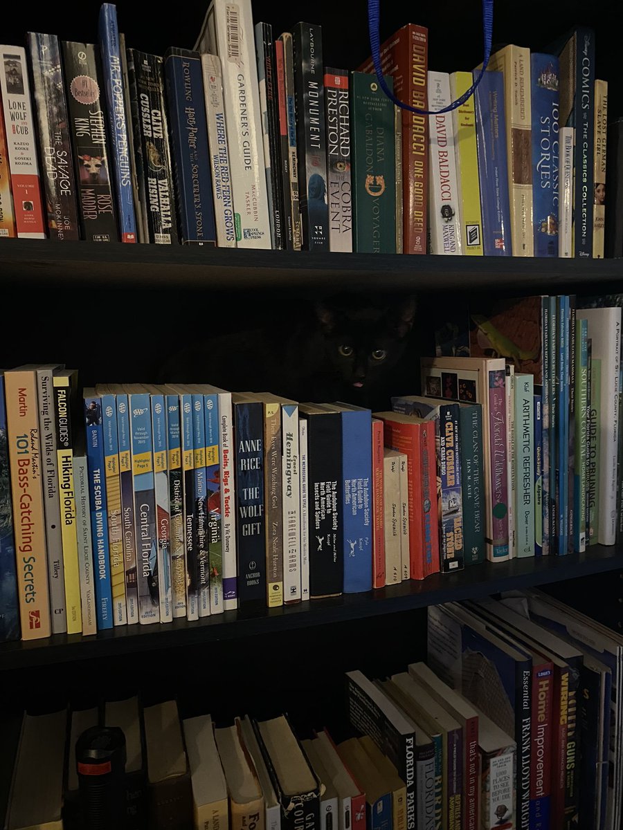 Thereisnocat_'s tweet photo. https://t.co/wA7Nj0Bg1C