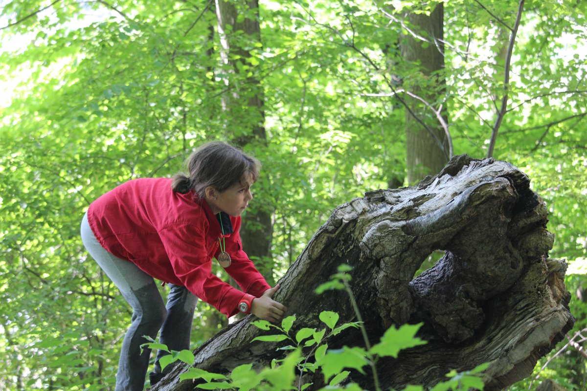 Childreach tweet media