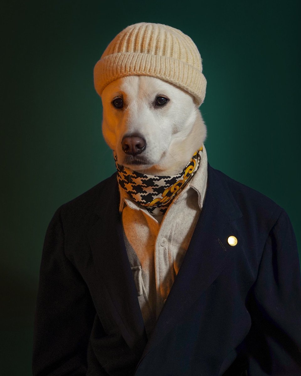 Serious Question: Is it a hatto day or a no hatto day? 

Pls advise 👇