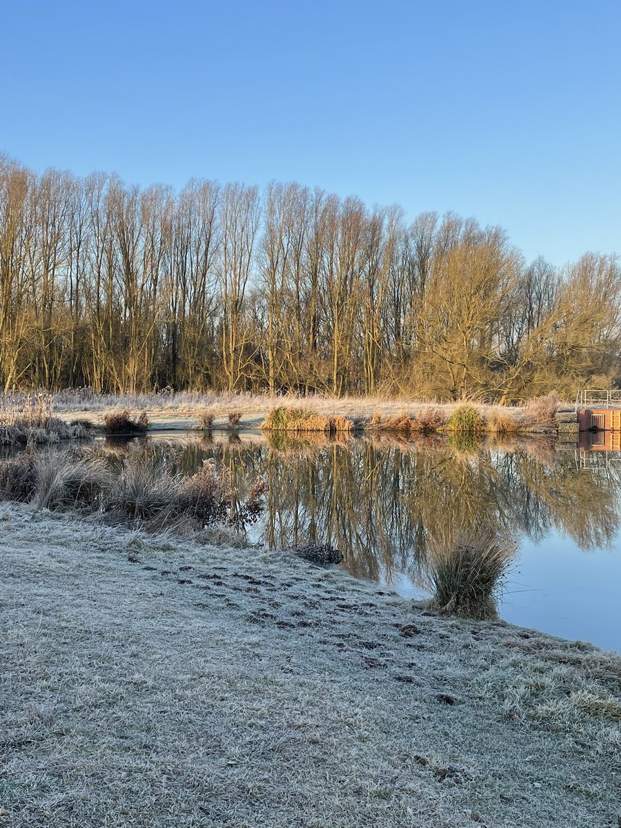 RachelLKillian's tweet photo. Scenes from my commute to work this morning. It was hectic, let me tell you. #MyWarwickshireView #Warwick #TachbrookCountryPark https://t.co/IvyZRnzCqC