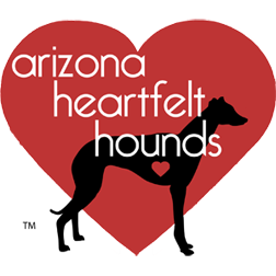 AZHeartHounds's tweet photo. It has been a super busy time for Arizona Heartfelt Hounds! Here's what we've been doing and how you can help us continue to help us help Hounds...
.
https://t.co/qfIetQzUMe
.
#azheartfelthounds #soldoglodge #handmade4hounds #biddingforgood
https://t.co/bgzzoySuXo https://t.co/mtU3YByP10