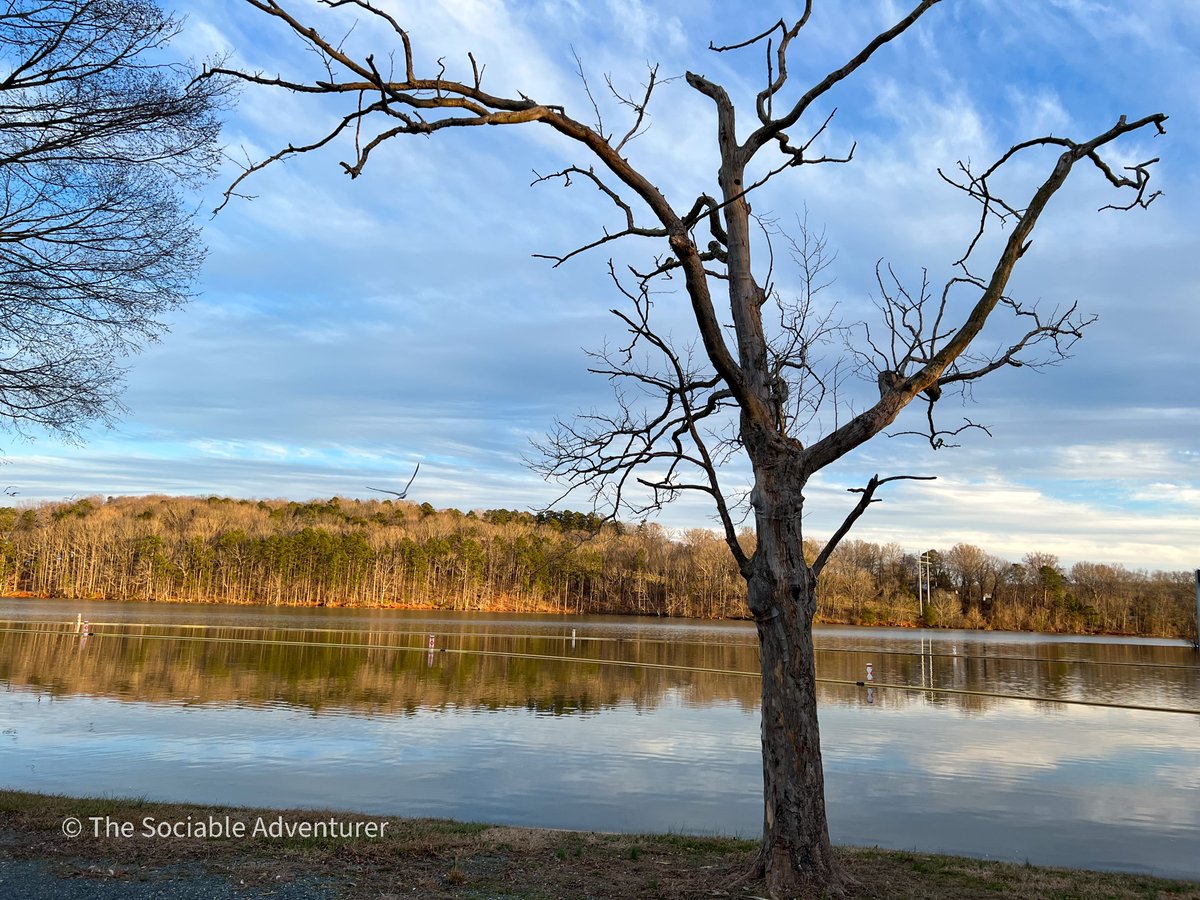 TheSociableAdv's tweet photo. The pictures are from Badin Lake.
@VisitNC @discoverncsc @ourstatemag @StanlyCountyNC @BadinNC
#BadinNC #StanlyCountyNC #VisitNC #YadikinPeeDeeRiver #discovercarolinas #ourstatemag #visitstanly #Reservoir #Lake #Waterfront #Water #Scenery #Nature https://t.co/TH2lZSOKn4