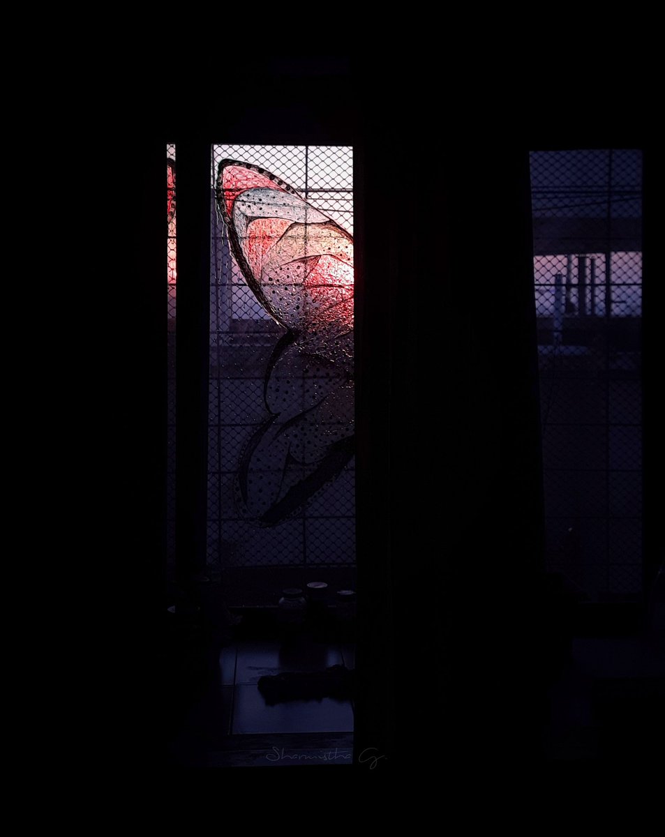 _Tora_J's tweet photo. Gd evng fam🌿🌸
#windowstories https://t.co/y2tdOFC79g