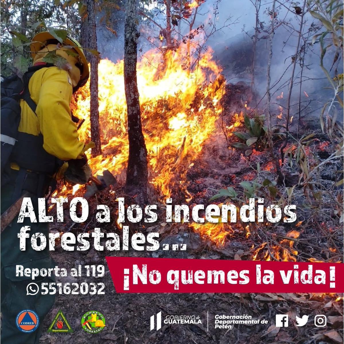 Si ve un incendio forestal, no se exponga y de aviso a las autoridades correspondientes llamando al 119  🌳

#CIFdPetén
#NoQuemesLaVida
#PeténSinIncendiosForestales