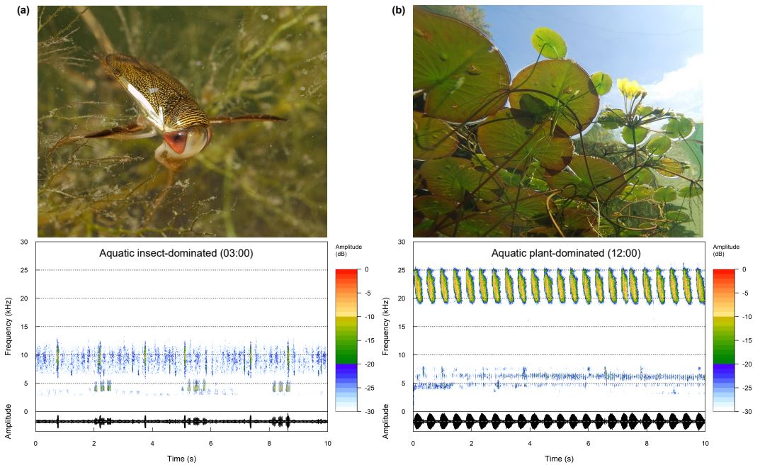 Jack Greenhalgh tweet media