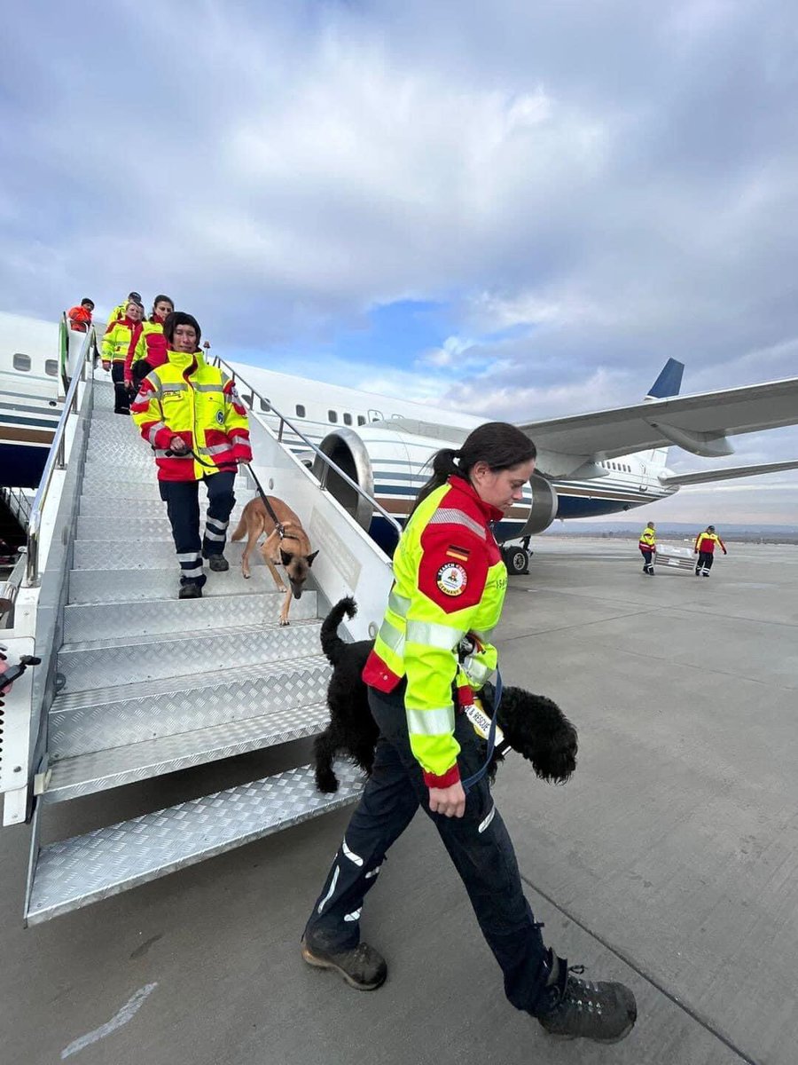 Oscar F César on Twitter "RT domdyer70 German dog rescue teams