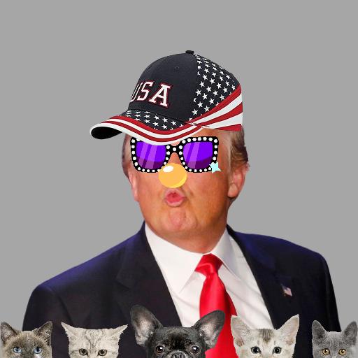 Trump Digital Trading Card 2nd Generation tweet media