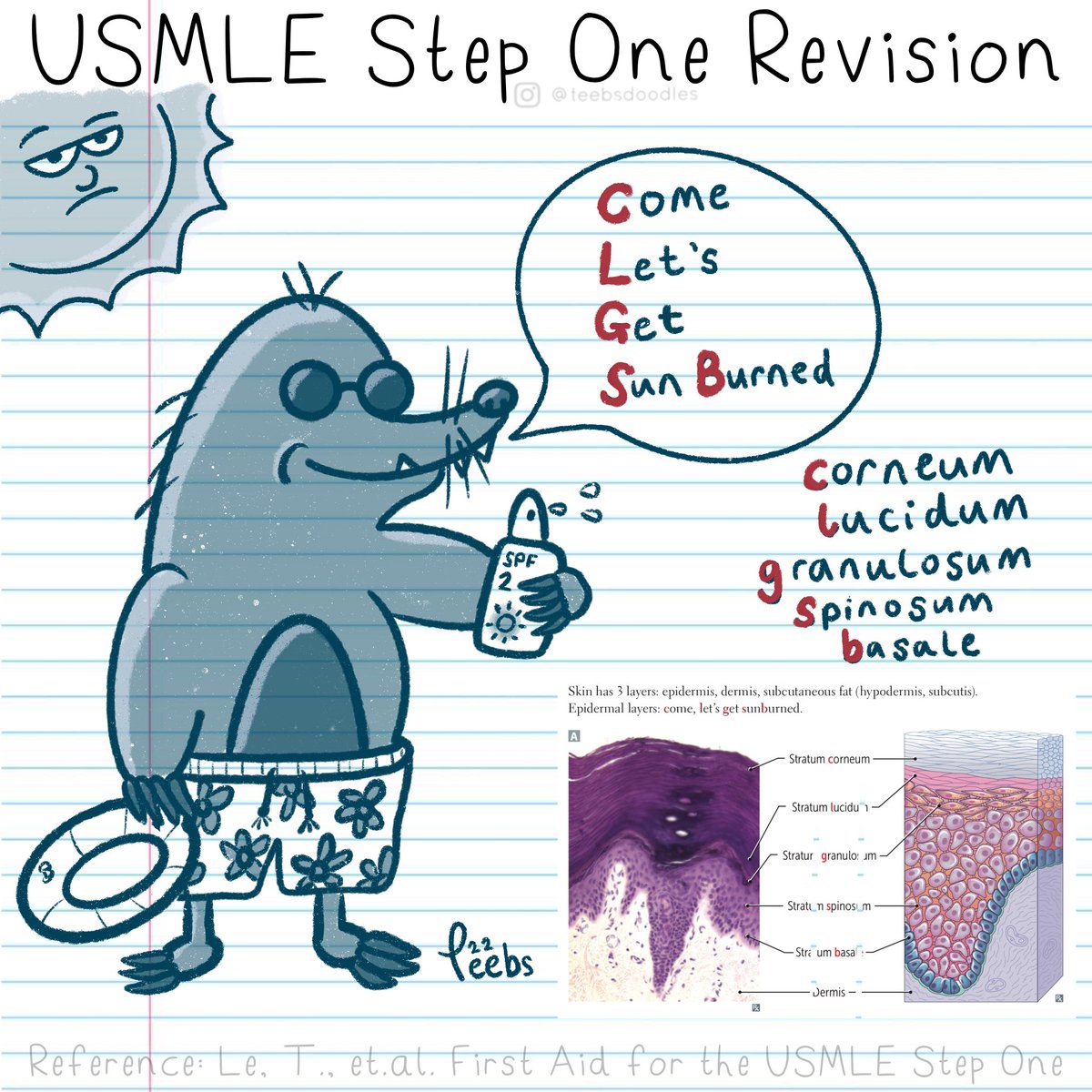teebsdoodles's tweet photo. Epidermal Layers = ’Come Let’s Get Sun Burned’

https://t.co/MKTn0MxhHO

#usmle #usmlestep #usmlestep1 #usmle_step1 #usmleprep #usmlepreparation #firstaidstep1 #doctor #USA #medicine #medical #medicalcartoons #medicalstudent #medschool #medlife #meded #medicalmnemonics https://t.co/Elj3g3z3xa