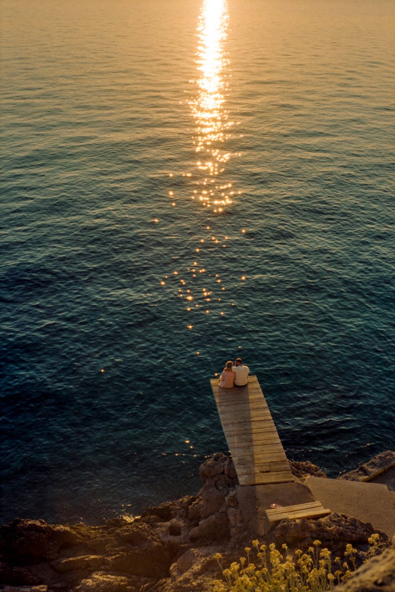 lightistic's tweet photo. summer on 35mm https://t.co/ggRgpPbNCs