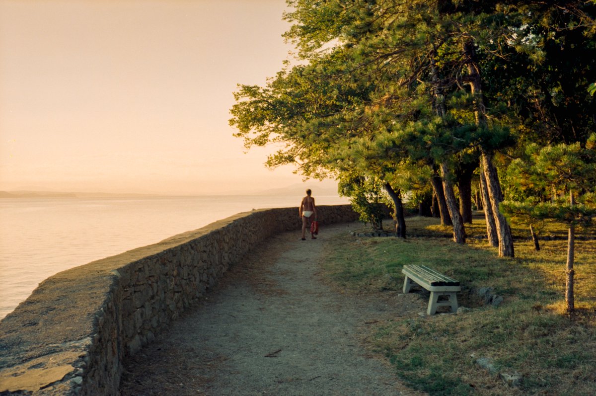 lightistic's tweet photo. summer on 35mm https://t.co/ggRgpPbNCs