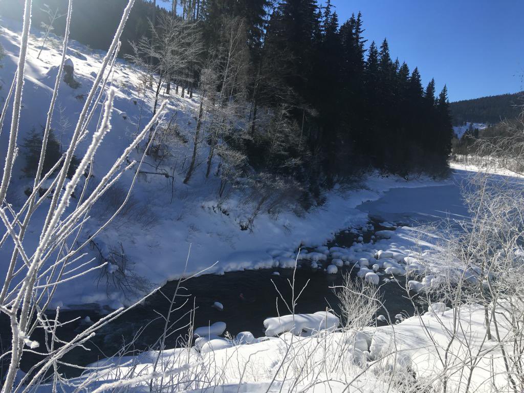 VMrozi's tweet photo. Mrož do každé labské tůně!❄️🏊🏻‍♂️🥶 #VysehradstiMrozi #Labska #Spindl #Krkonose https://t.co/mDajBtKbWU