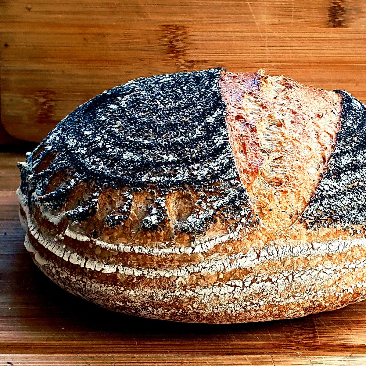 This weeks bake. 😛👌 Blue Poppy Seeded Sourdough #Sourdough #Bread #Baking
