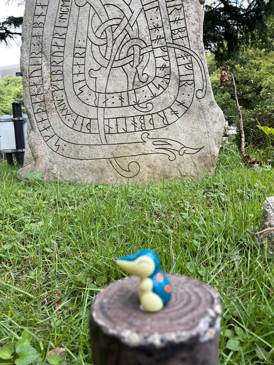 real_cyndaquil_'s tweet photo. https://t.co/djFHkDYGDw