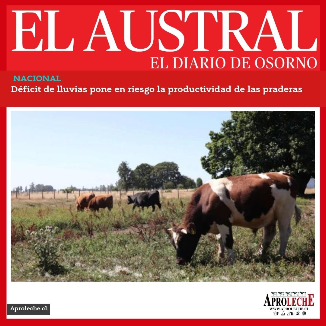 🌐 Diario Austral Osorno 

📌 Déficit de lluvias pone en riesgo la productividad de las praderas

👉🏻 Para leer nota completa, los invitamos a ingresar a nuestra web bit.ly/3JK06cH
