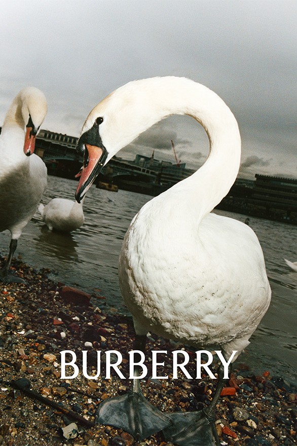 zhenyary's tweet photo. Shout out to Daniel Lee on the Burberry rebrand. Seems like we are all bored of the super minimalistic approach, welcome to a new era https://t.co/8LkLyRzEur