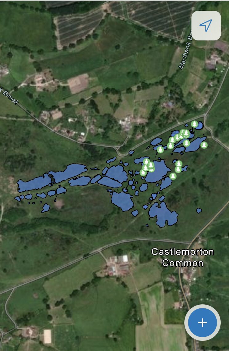 DuncanWestbury's tweet photo. A lovely morning spent mapping #ScrubPatches at Castlemorton Common (Malvern) with our students. #EnvManSus #WorcesterUni @MalvHillsTrust @Worldwidevillan https://t.co/ql6Td1ofBi