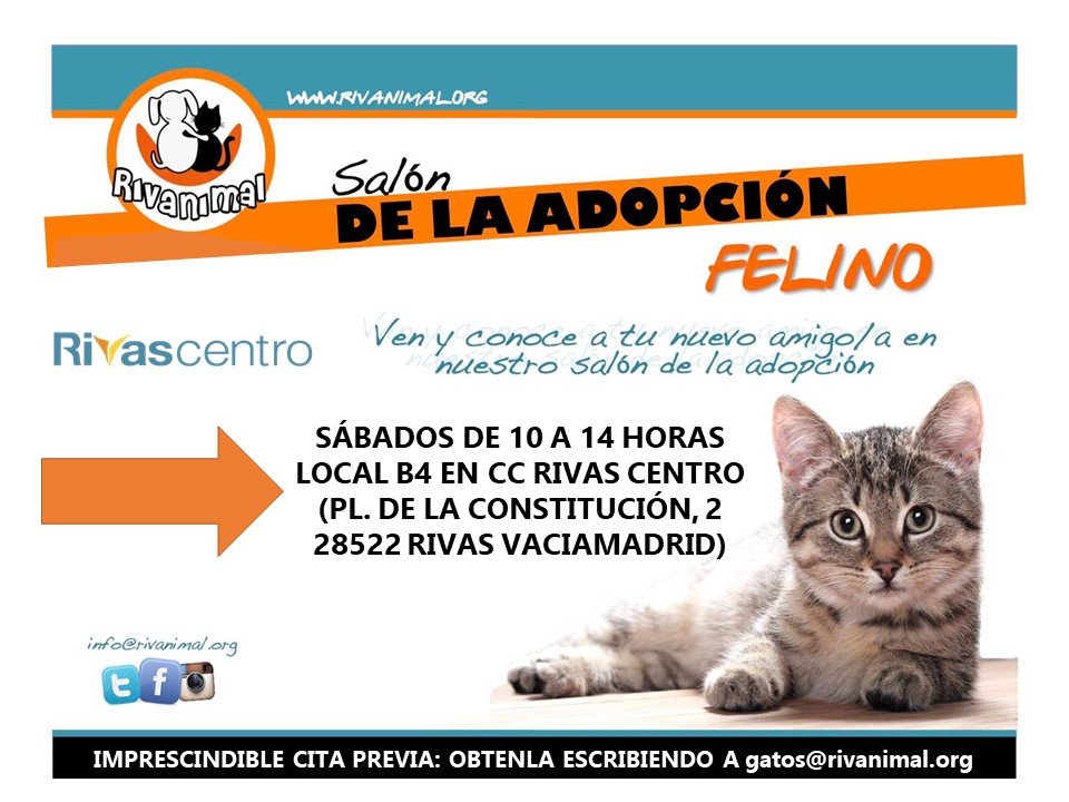 🐱TODOS LOS SÁBADOS SALÓN DE ADOPCIÓN FELINO‼️
En nuestro local situado en C.C. Rivas Centro (local B4, planta baja, frente al Tedi)
Todos nuestros gatos están esperando su hogar definitivo, ¿quieres que alguno forme parte de tu familia?
#ADOPCIÓN #AdoptaNoCompres #adopta #gatos
