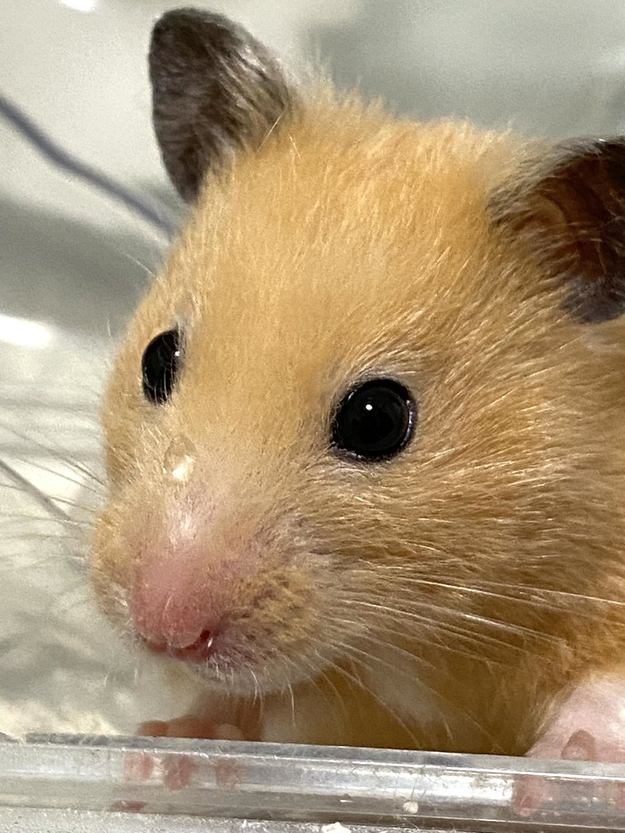 水滴！！！乗ってる！！！！😂😂😂💕💕🫧🫧🫧