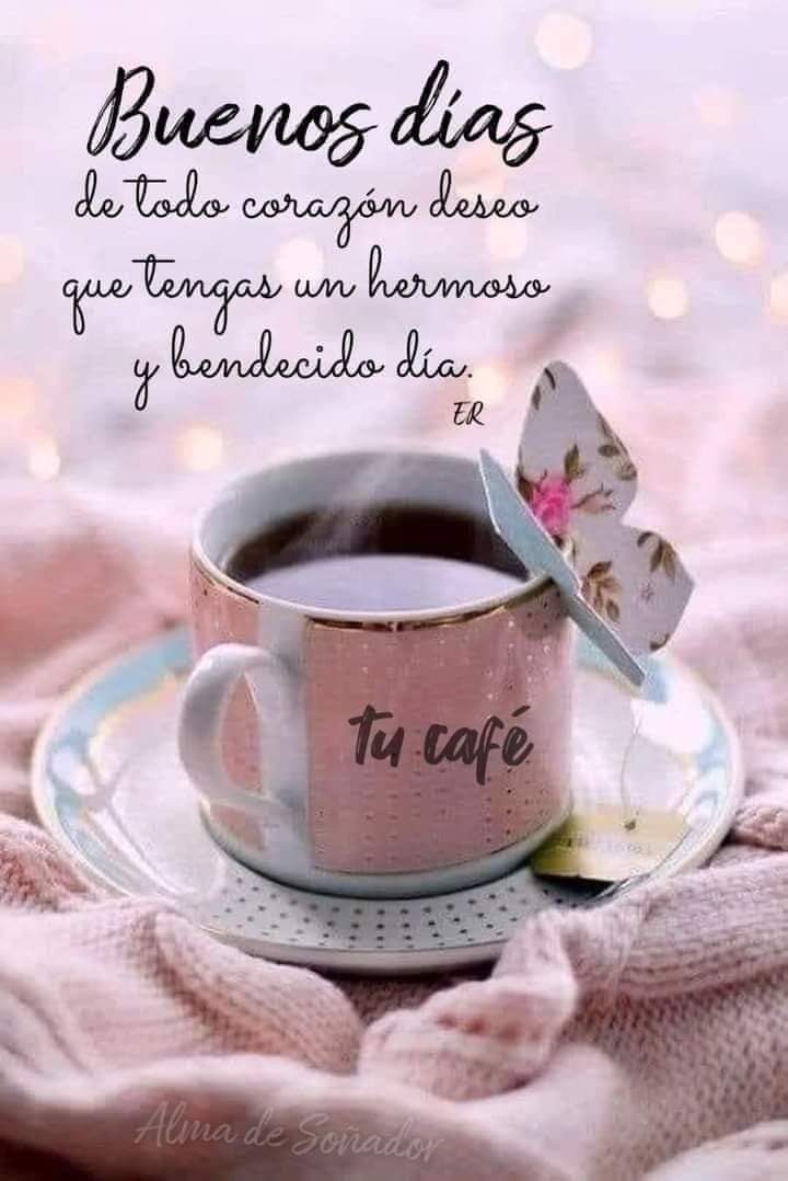 @Arelys_50 @Reinabella91 @Lamorenam1 @Maida11169691 @pedroViscocho @moni21_pgh @LuisfeerNavarro @Ori10861 @lapatriaqrida09 Buenos días @Arelys_50 🌻💠🌺
Bendecido día!
@Otala_88 🙋