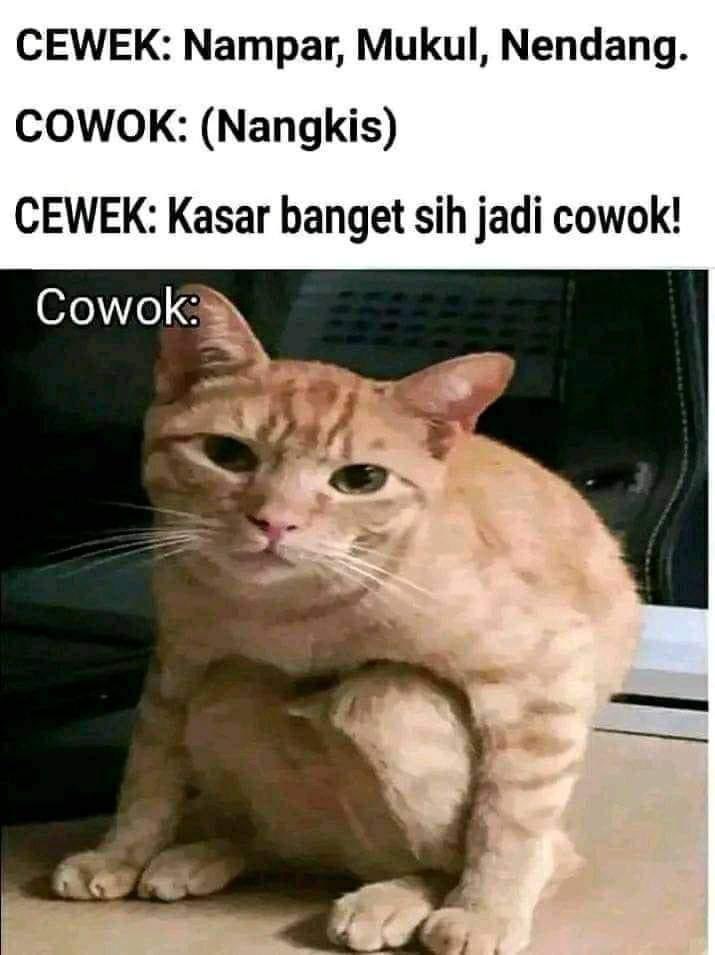 recehtapisayang tweet media