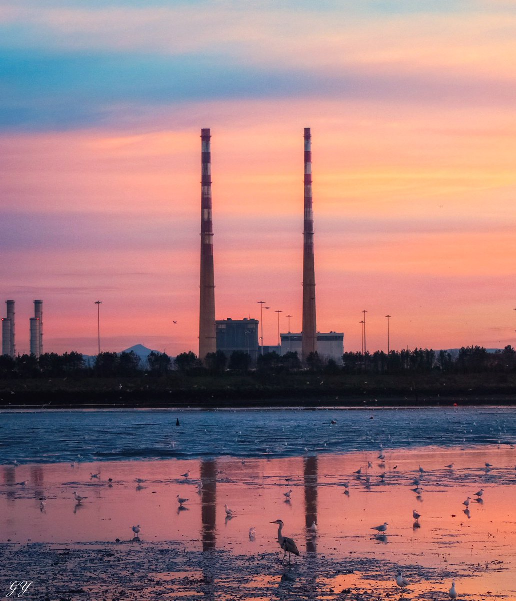 PhotographyGy's tweet photo. @LovinDublin @DiscoverIreland @PhotosOfDublin @VisitDublin @Dublin_ie @OldDublinTown @DiscoverIreland @discoverirl @Failte_Ireland @98FM @FM104 @IrishTimes @IrelandB4UDie https://t.co/QAmqdHzQo2