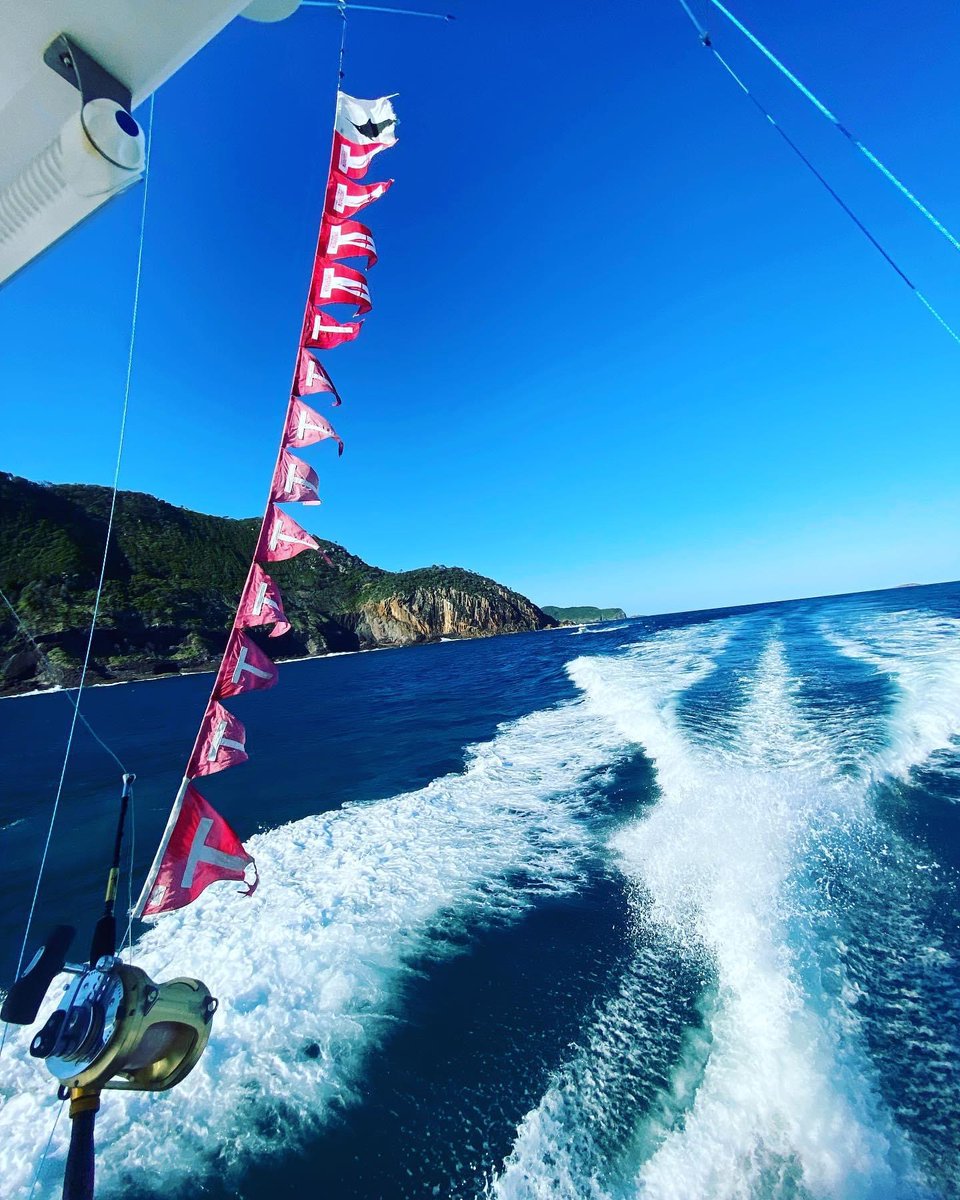 BillfishReport's tweet image. Port Stephens, Aus - Calypso released 13 Black Marlin. #Billfish #BlackMarlin