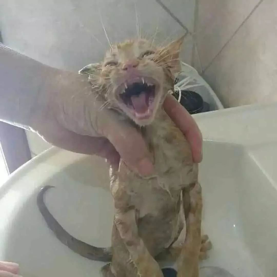 씨발다음주막방?내인생어떡해
민혁아난너없음못산다이짱강아지야
애기야어딜가어딜가냐고!!!!!!!!!!!!!!!