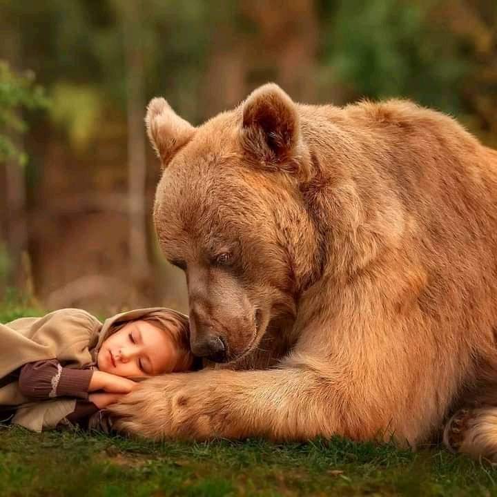🇵🇸🌺Om Habiba🌺 tweet media