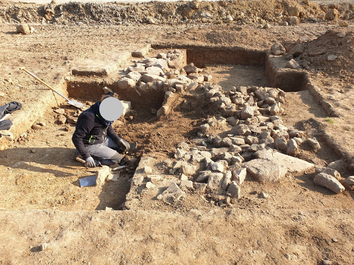 AG Danni lebt der Parents for Future tweet media