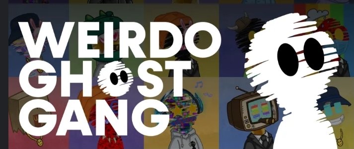 临近小幽灵NFT一周年，写一下我和小幽灵 <a href="/WeirdoGhostGang/">Weirdo Ghost Gang</a> 的故事
这是我第一个NFT，第一次学着用discord，第一次用ETH钱包，去画画，奈何画技不行，去做解密，找可凡拿线索，扒拉discord睡总几百页的聊天记录找线索，解密很好玩，但是我智商不行，最后让妹妹给唱歌➕画画的视频形式得到白名单，很高兴