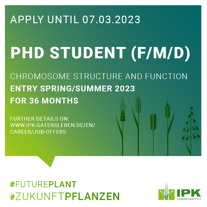 LeibnizIPK's tweet photo. You have a Master, Diploma or equivalent degree in biology or any related field? And your have knowledge of molecular, cell biological, cytogenetical and/or biochemical techniques? Then we have a job offer at @LeibnizIPK. 
➡️All details: https://t.co/B9UpokSax8 https://t.co/0vYrvaPA9M