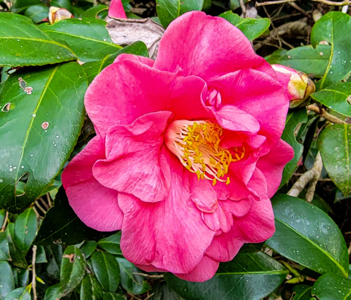 calgriffin's tweet photo. I found these like hidden Easter Eggs in a secret garden. I had a lot of fun...hope that you enjoy! Hidden Treasures of the Lowcountry
#lowcountry #lowcountryliving #allcountryrealestate #calgriffin #weknowwalterboro https://t.co/2DTyvlSIAo