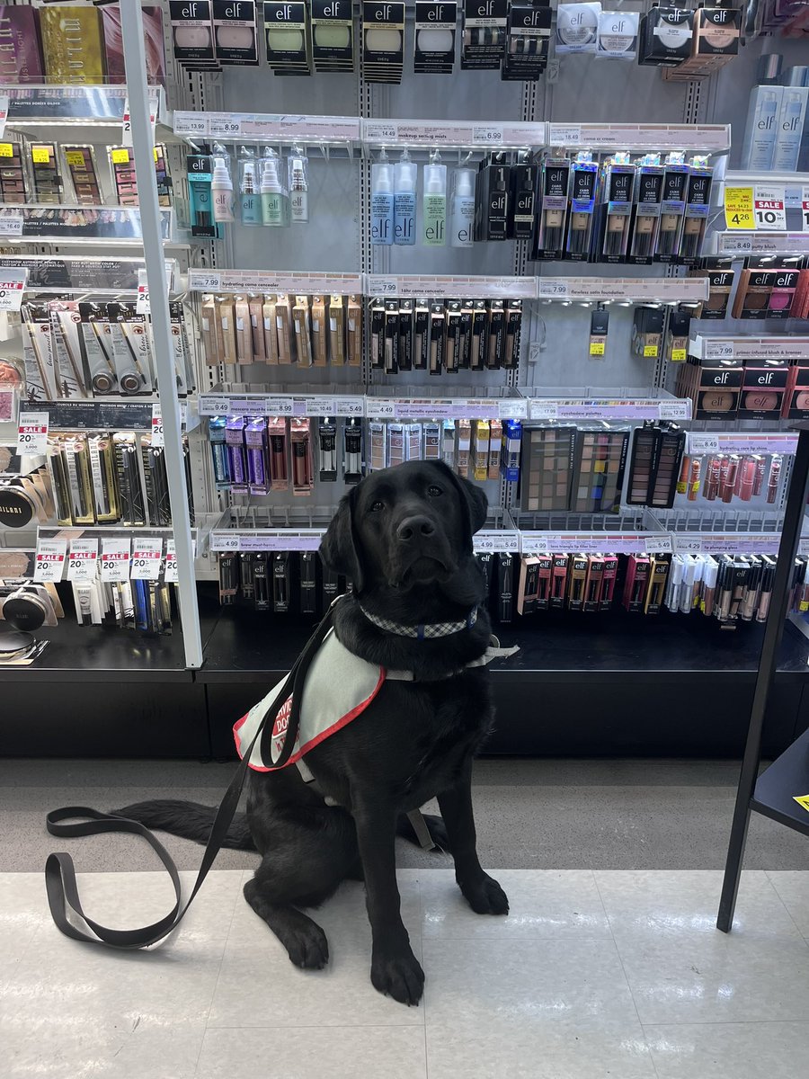 Autism Dog Services tweet media