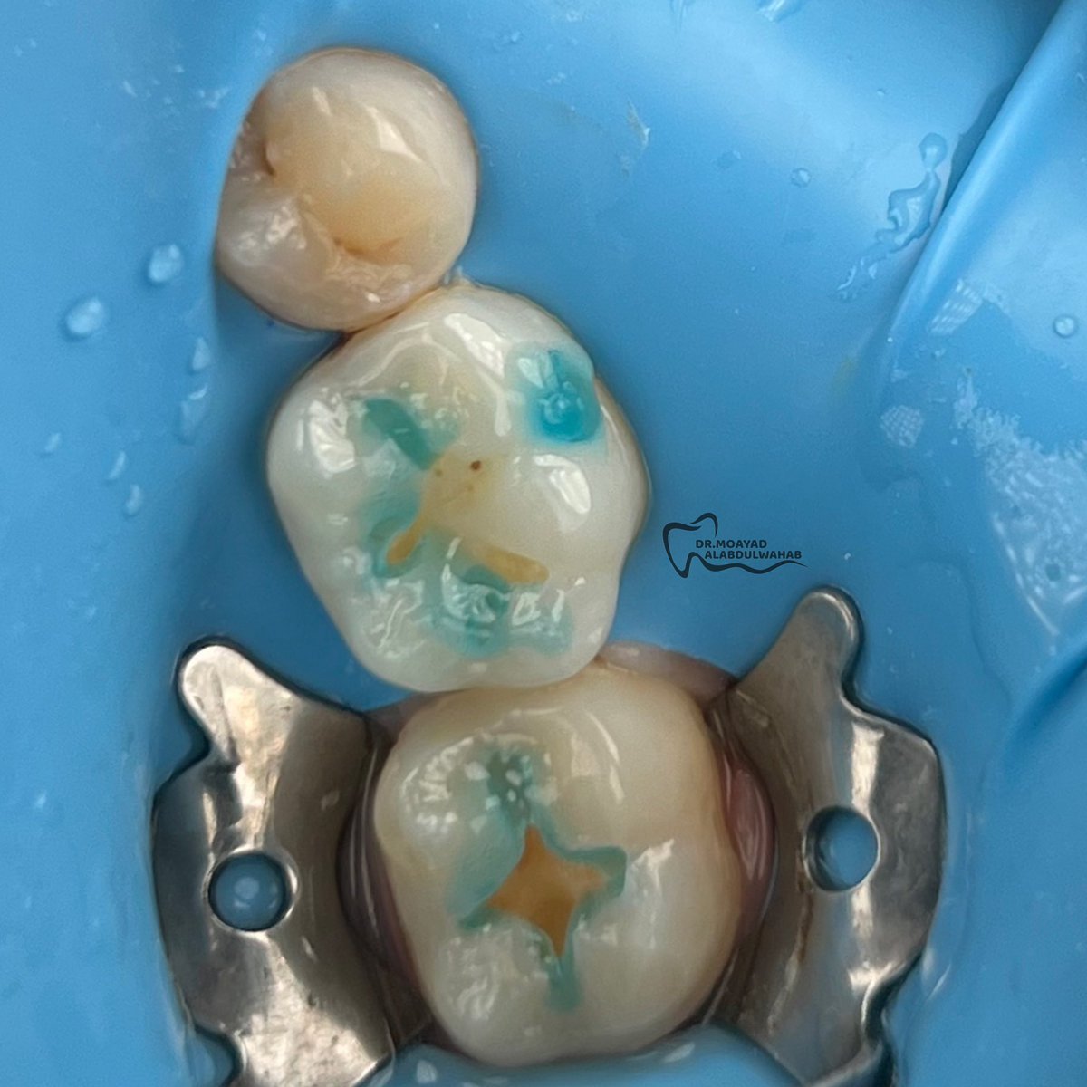 مؤيد tweet media