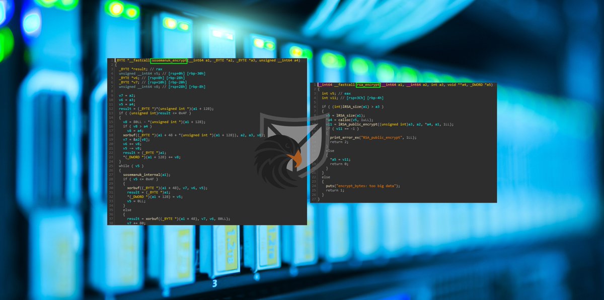 SECUINFRA FALCON TEAM tweet media