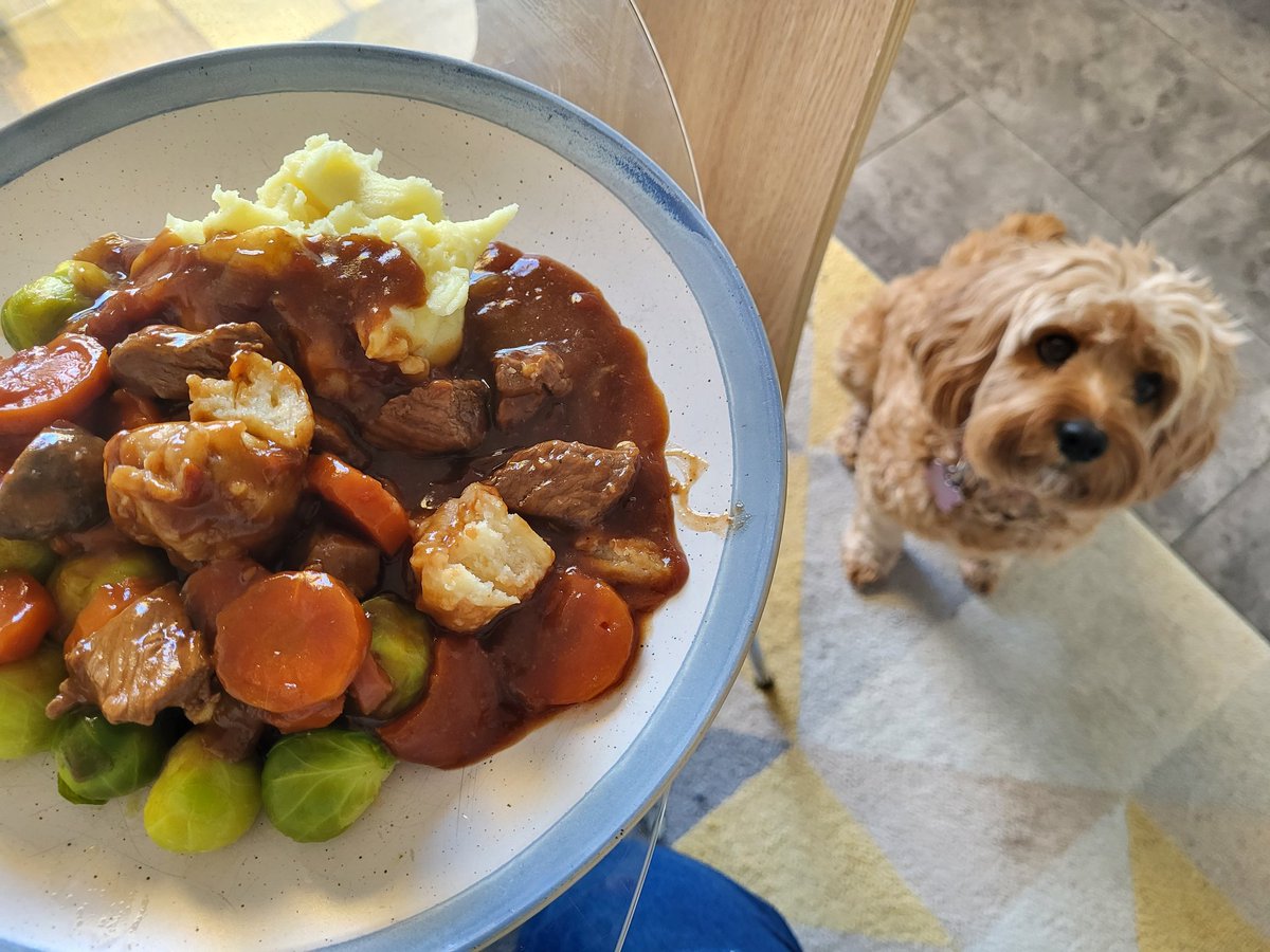 #winterfood share your #pets photo... does your dog sit with you every meal time as mine sure does. #FoodForThought #beefstewdumplings #homecooking @BBCFood #almostacook #cooking #britishfood #buybritish #localsourcefood #supportbritishfarmers #farmersuk #farmers