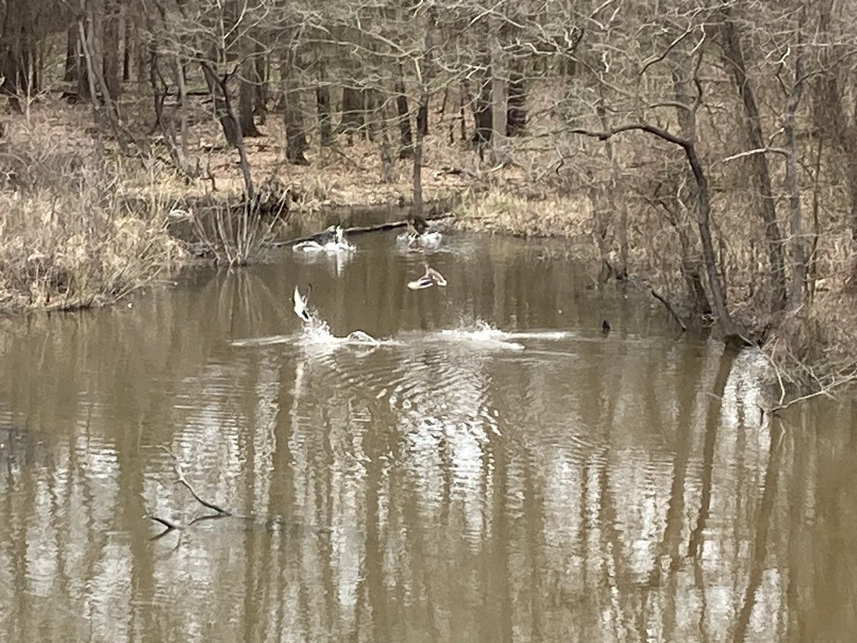 CwyARSanitation's tweet photo. We want to keep the city clean, but also the local environment. Yesterday we did a bit of compliance sampling to ensure that we are doing our part to keep our water friends happy and healthy! https://t.co/kDhFp5aItp