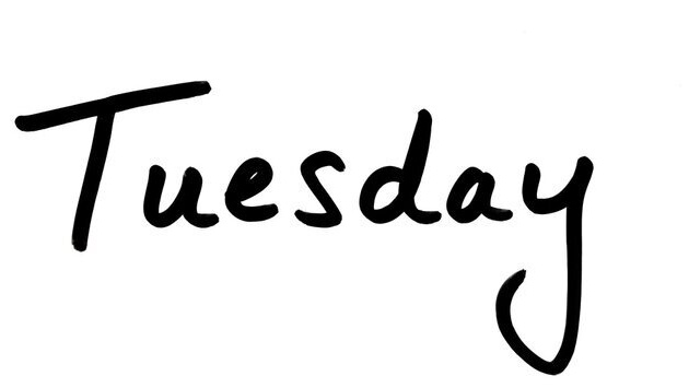 JivaOf's tweet photo. Rose Day? Nah nah! It's just Tuesday ✨
#roseday2023 #ValentinesWeek #TuesdayMotivaton https://t.co/cw0J1cNECP