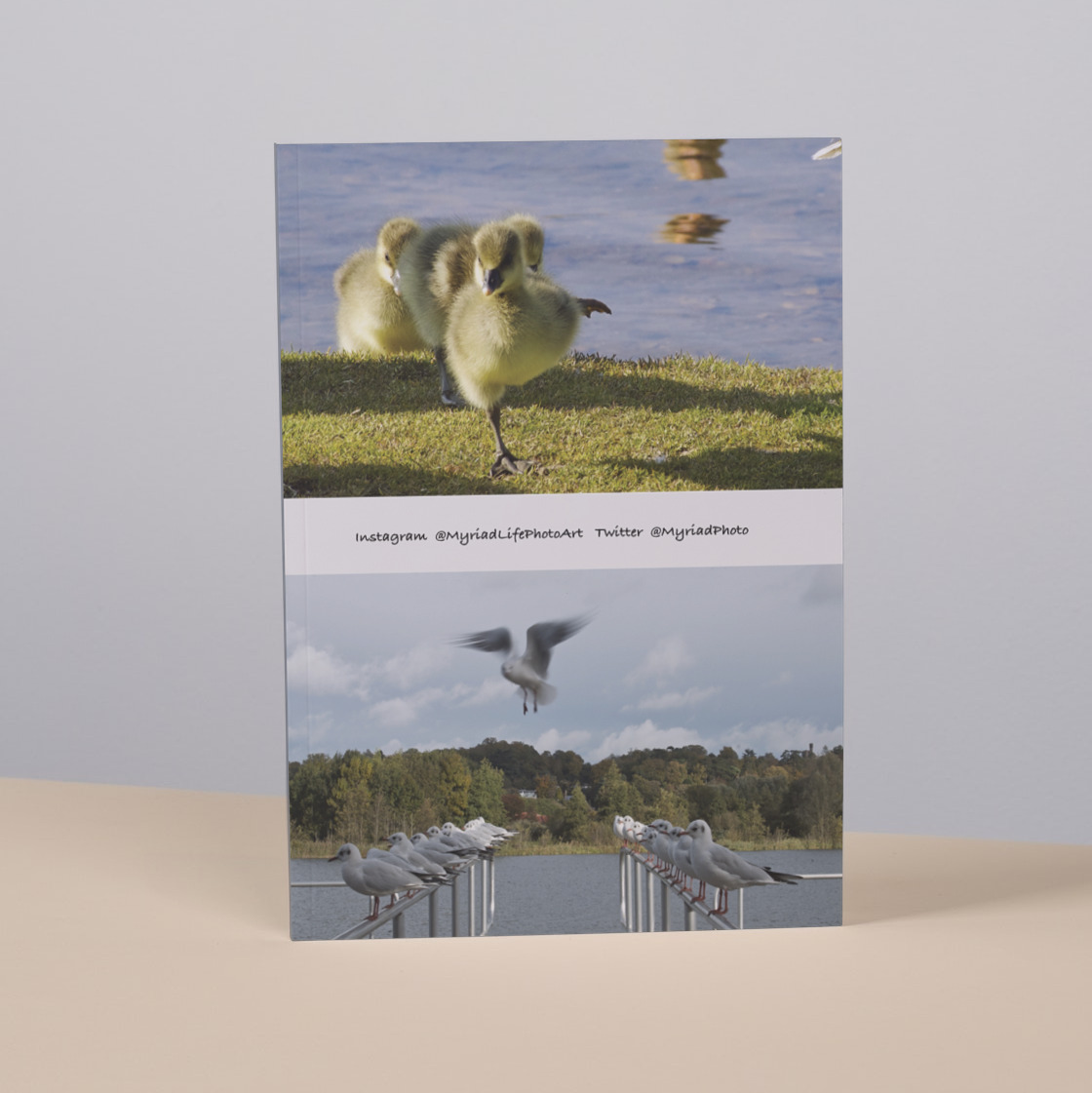 LifeMyriad's tweet photo. Enjoy the wildlife on this softback notebook. 160 lined pages to get creative with.
https://t.co/m9xxnAGMXX
#Nature #NatureNotebook #Notebook https://t.co/nU59HkSrmn