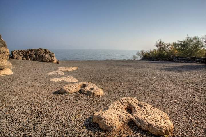 SlaughterWalter's tweet photo. Sea Of Galilee, a photo from one of our Trips to Israel. Join us in Israel as we embark on the journey of a Lifetime, and see this for yourself in person! https://t.co/KwsnroW9xA
#Tourism #Travel #IsraelTourism #TourIsrael #WalterSlaughter #BibleProphecy #IntercessoryPrayer https://t.co/i7lBW4IxdA