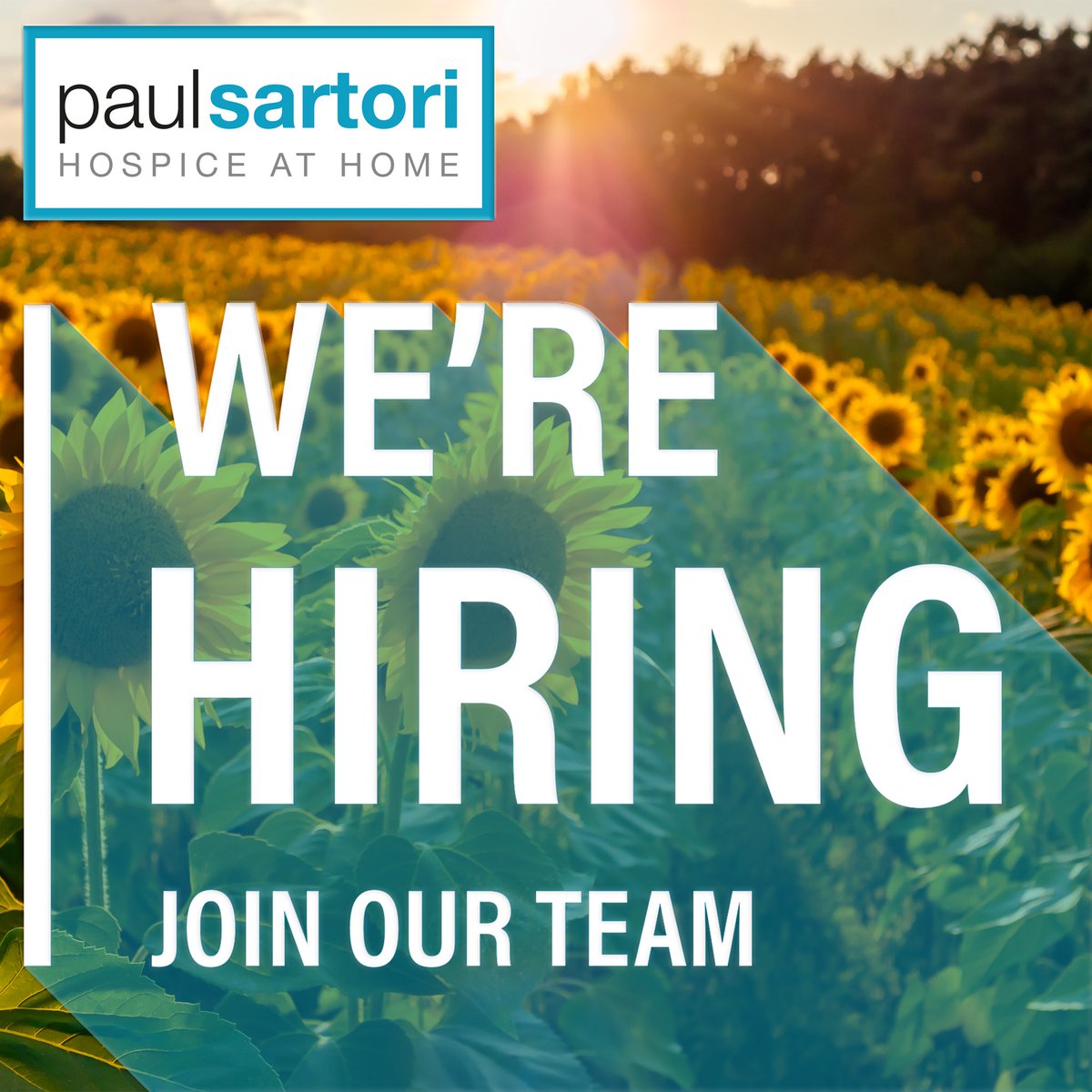 We are currently recruiting for a sales assistant to join our friendly retail team 😁

Take a look 👀 Click the link below:
paulsartori.org/vacancies/

#paulsartoriretail #pembrokeshire #jobvacancy #retail #paulsartoristores #joinus #charityretail #workforus #supportlocal