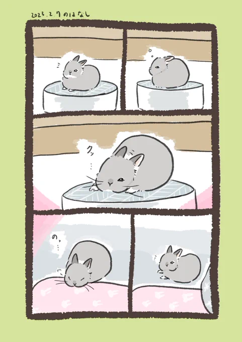 humanキラーrabbit…
#うさぎのいる生活 