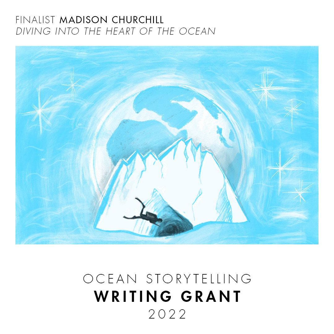 Meet our 3rd #OceanStorytellingWritingGrant finalist, Madison Churchill (USA). She dreams of travelling the world, telling the stories of lesser-loved habitats before they disappear and can never be shared. 

Read more about Madison saveourseas.com/ocean-storytel…