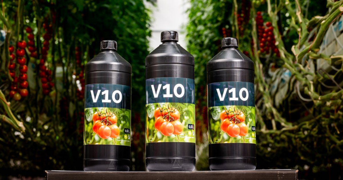 Congratulations to Valto Biocontrol with their product V10. They are the selected winners of the GreenTech start- and scale-up challenge.

Organized by GreenTech Americas in cooperation with Embassy of the Kingdom of The Netherlands in Mexico and the NBSO Mexico/Querétaro. #Valto