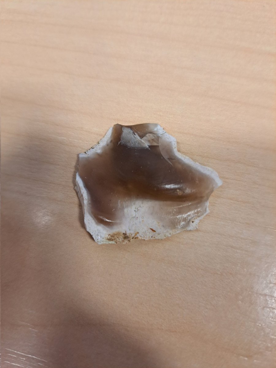 ward_andrewArch's tweet photo. Found outside work on my lunchtime walk. Flint really isn't my strongest but I'm assuming this is just a frost fracture rather than anything worked despite the bulb and platform?
#workedflint #archaeology #smallfinds
@sussex_flo https://t.co/6yXGzUsMFN