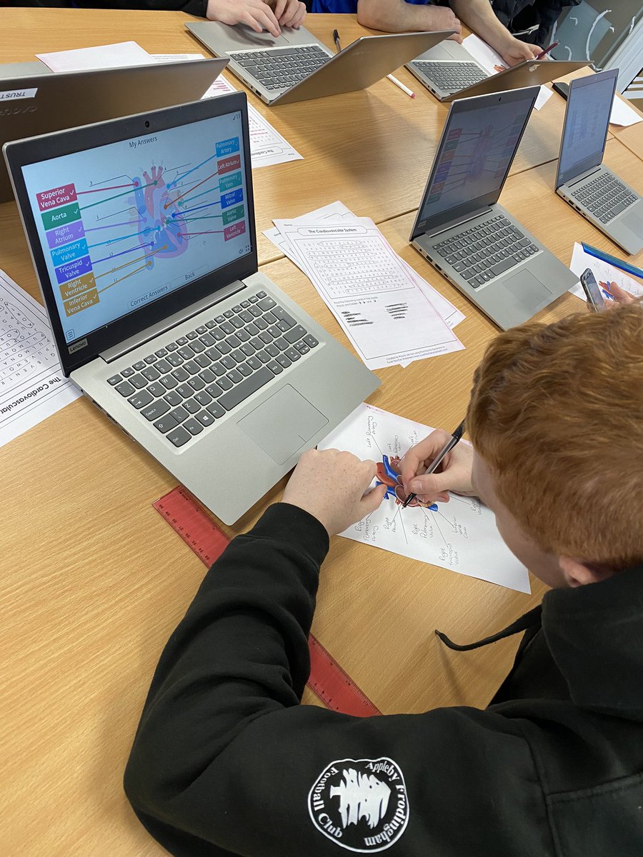 Our NCFE Level 3 Diploma in Sport and Physical Activity learners have been busy today learning about the cardiovascular system and labelling the structures of the heart @SUFCOfficial @NorthLindsey @SportNLC @DNColleges #NCFE #sports #education