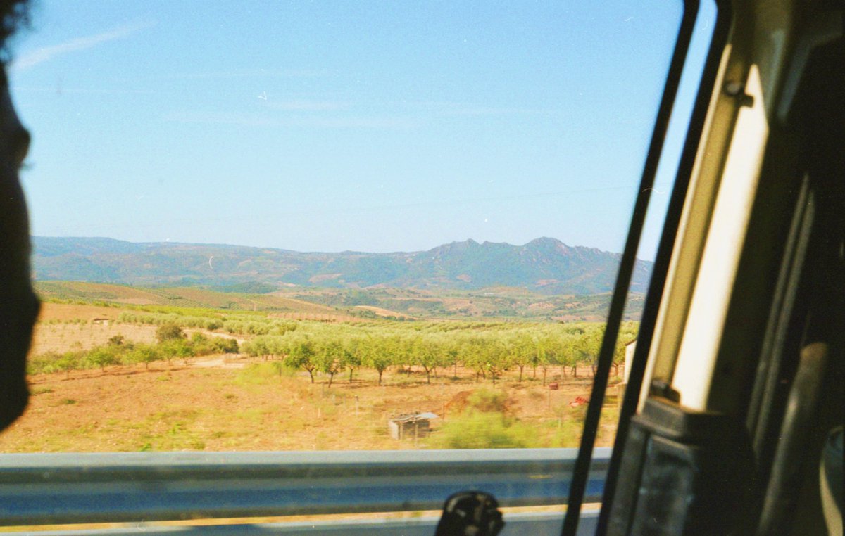 tomassfernandes's tweet image. A road trip across Portugal, shot on film