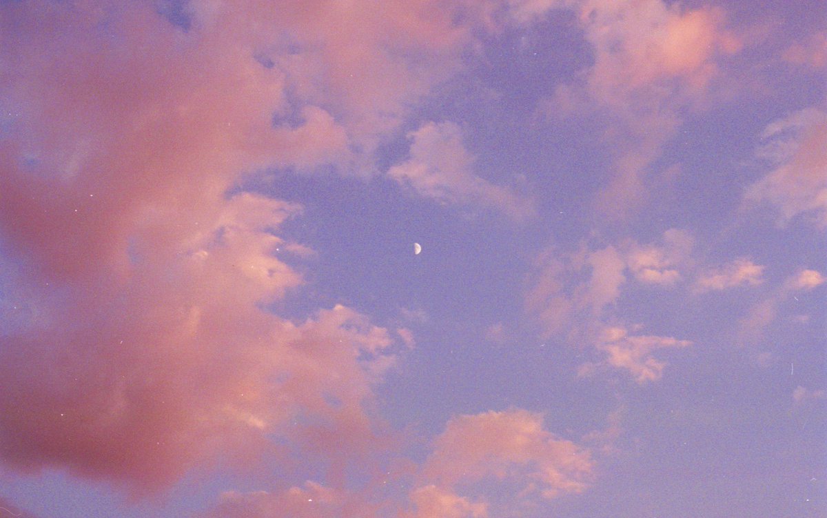 tomassfernandes's tweet image. A road trip across Portugal, shot on film