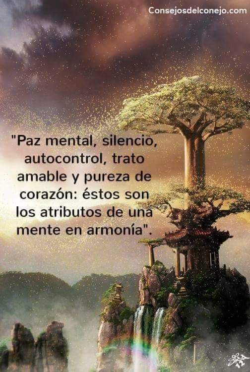 Elviamr (@elviamr3) on Twitter photo 